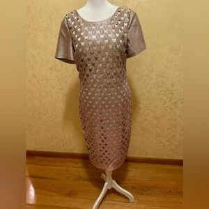 Elegant Pink and Silver Dress